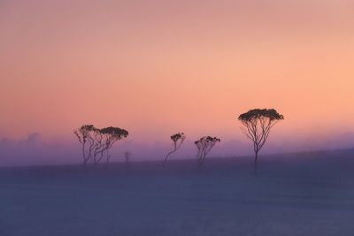 Silhouette trees on landscape against sky during sunset