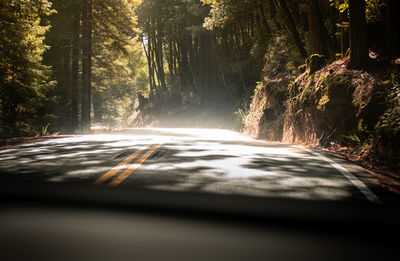 Road amidst trees in forest seen through car windshield