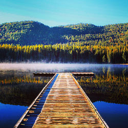 View of calm lake in forest against sky