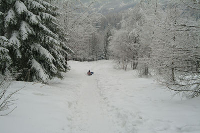 Rear view of man riding sledge on snow covered field