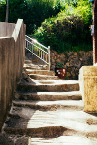 Steps amidst trees