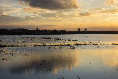 Scenic view of lake against sky during sunset