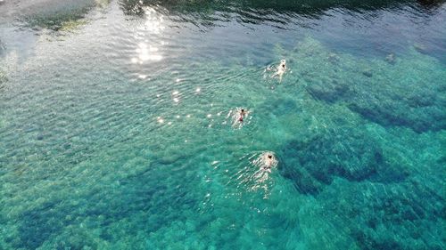 High angle view of people swimming in sea