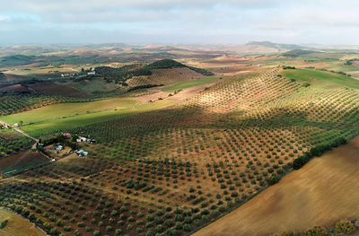 Aerial view of agricultural landscape against sky