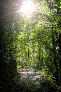 People walking on footpath