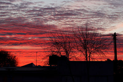 Silhouette bare trees against sky during sunset