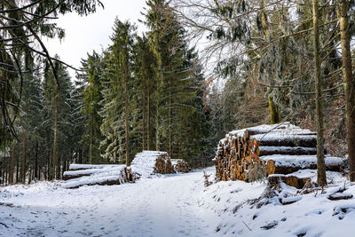 snow
