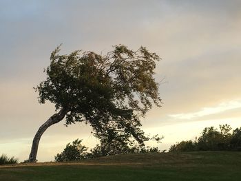 Scenic view of grassy field against cloudy sky