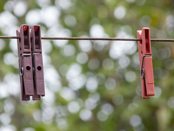 Close-up of clothespins hanging on rope