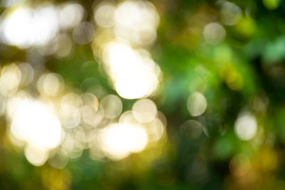 Defocused image of lights