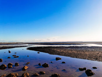 Scenic view of sea against clear blue sky