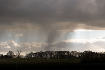 Panoramic shot of trees on field against sky