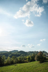 Scenic view of field against sky