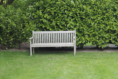 Bench in park/garden