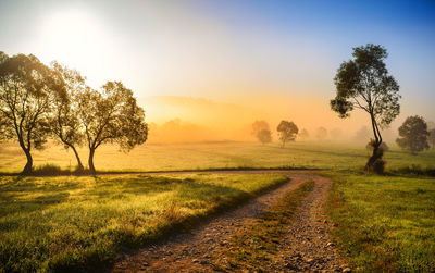 Scenic view of field against sky during sunset