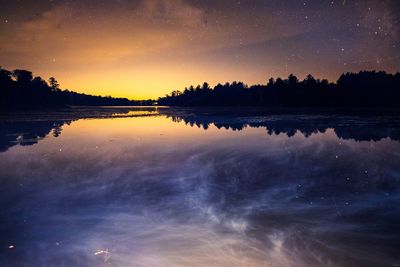 Reflection of trees in calm lake