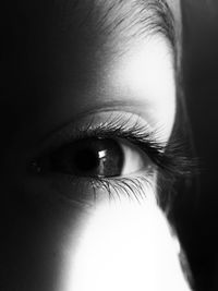 Extreme close up of human eye