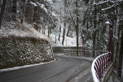 Road by bare trees in winter