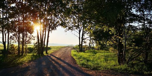 Road amidst trees on field against sky