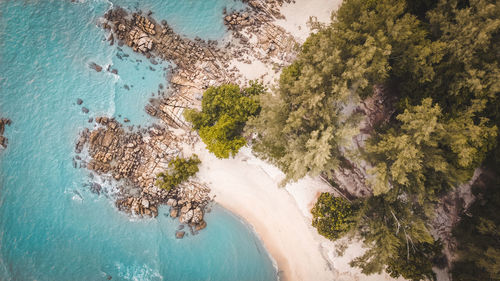 Aerial view of the beach and rocks from the top down