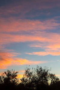 Low angle view of silhouette trees against sky at sunset