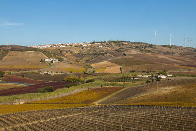 Scenic view of agricultural field against blue sky