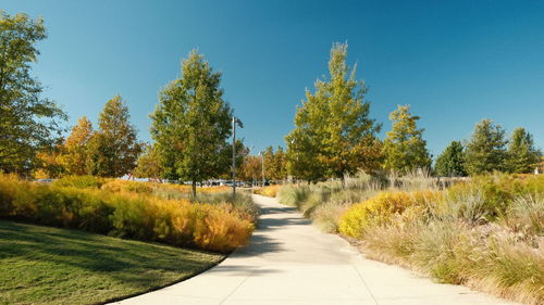 Road amidst trees against sky