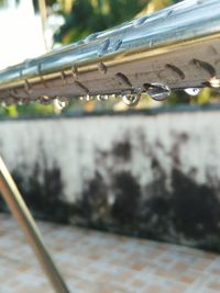 Close-up of water drops on leaf