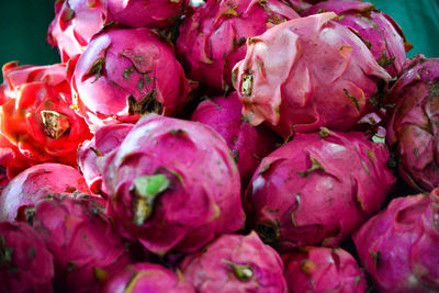 Full frame shot of pink pitayas in market