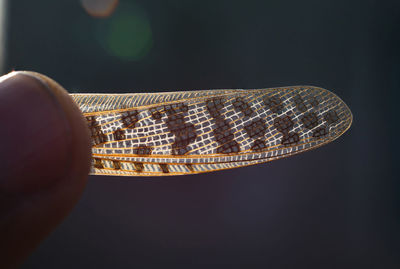 Close-up of hand holding guitar against black background