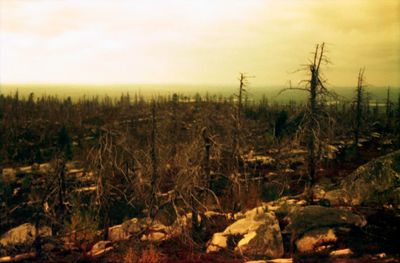 Scenic view of landscape against sky