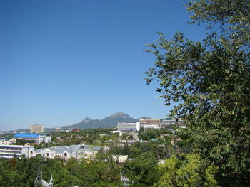 Trees and buildings against blue sky