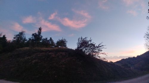 Silhouette trees on mountain against sky during sunset
