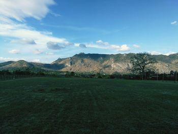 Scenic view of field against sky