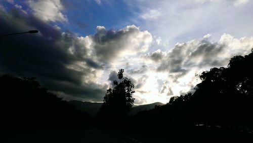 Silhouette of trees against cloudy sky