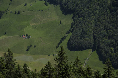 Scenic view of landscape