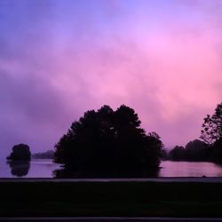 Silhouette trees against sky at sunset