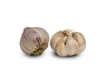 Close-up of pumpkins against white background