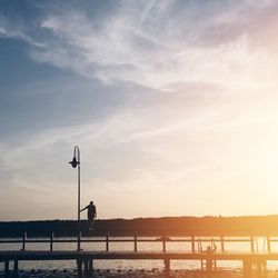 Silhouette of trees at sunset