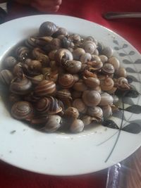 High angle view of pasta in bowl