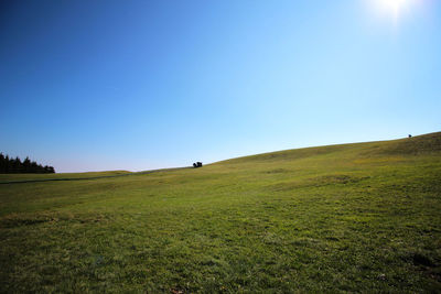 Scenic view of field against clear blue sky