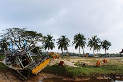 Abandoned boat at shore against sky