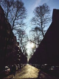 Road passing through a forest