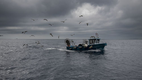 Seagulls flying over sea against sky