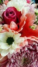 Close-up of rose bouquet