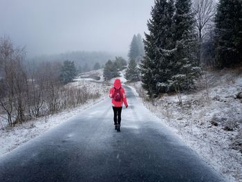 Woman hiking alone on an empty road surrounded by coniferous trees during a snowfall 