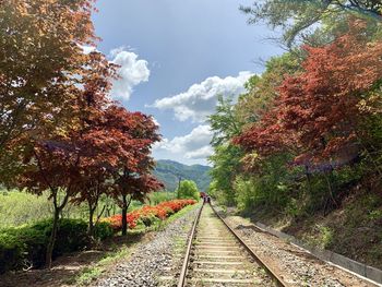 Railroad track amidst trees against sky during autumn