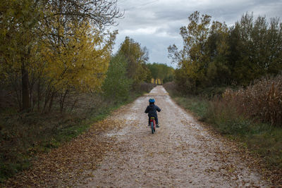 Rear view of man riding bicycle on road