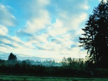 Scenic view of forest against sky