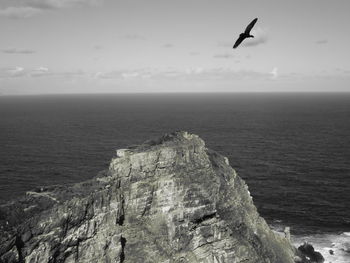 Seagull flying over sea against sky